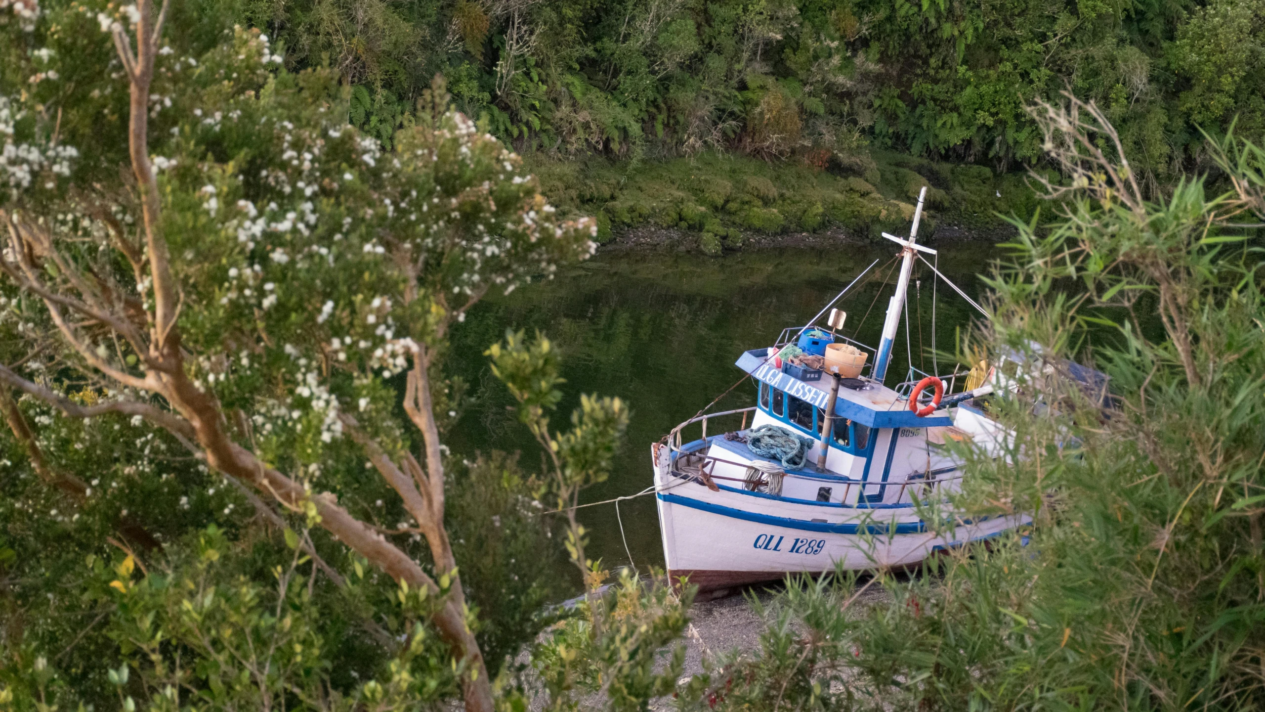 a boat on water sitting next to some trees