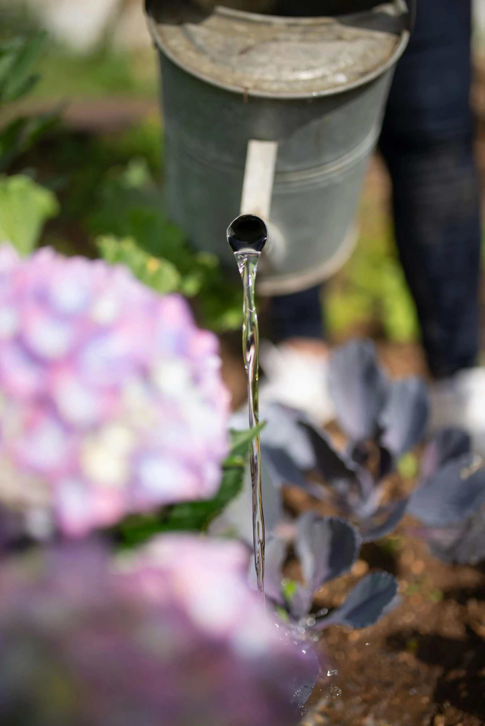 a hose with water running into some potted plants