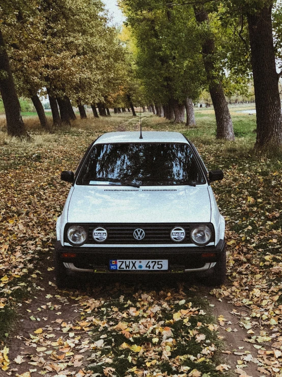 a white car parked on top of a forest filled with leaves