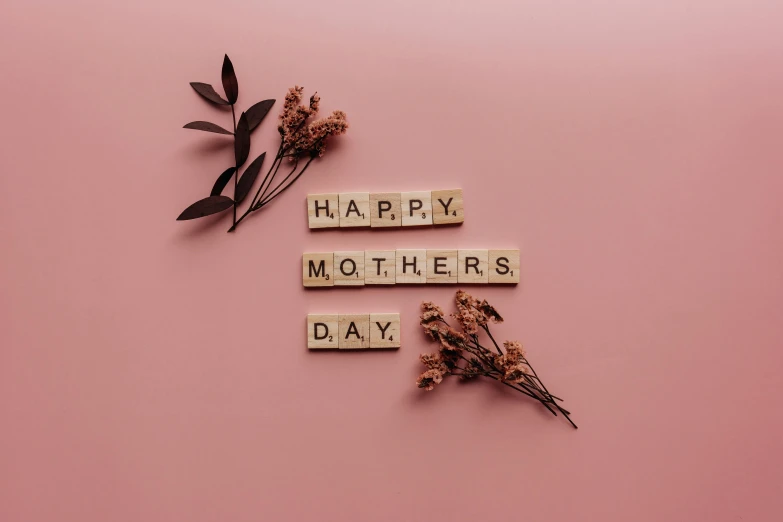 the words happy mothers day spelled by letter blocks and dried plants