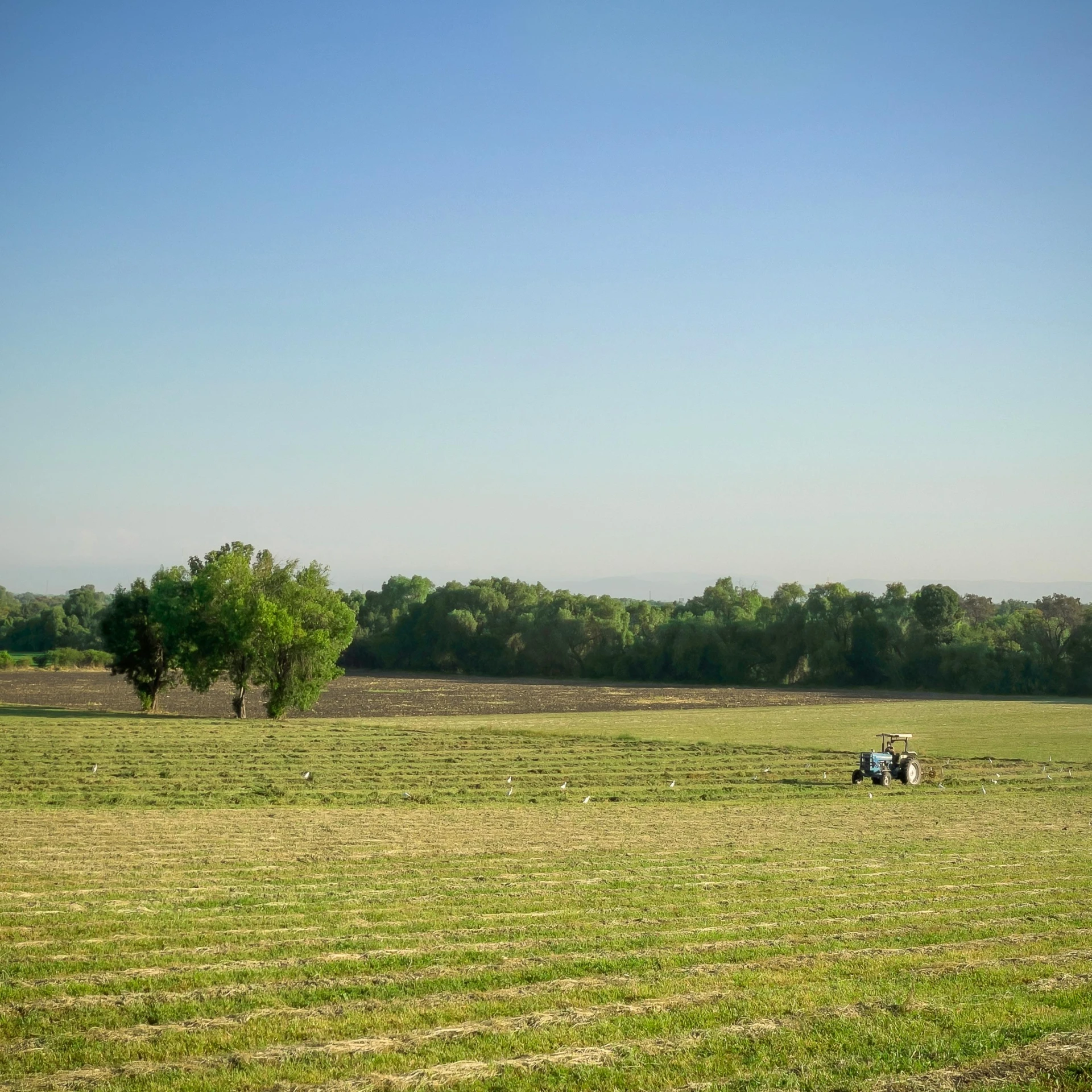 two people on a tractor on the farm