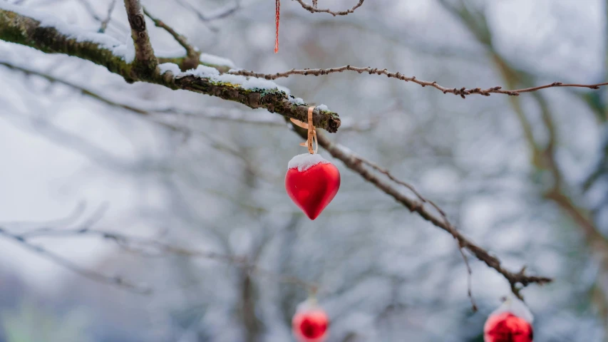 red heart ornaments hang from tree nches outside
