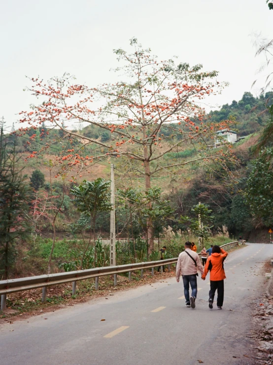 a couple holding hands walking down a winding road