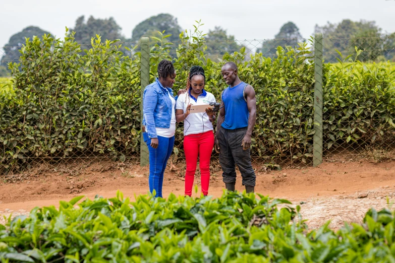 three women standing together in front of bushes