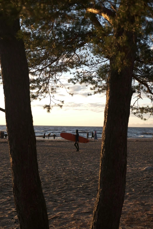 people on a beach in the evening sun