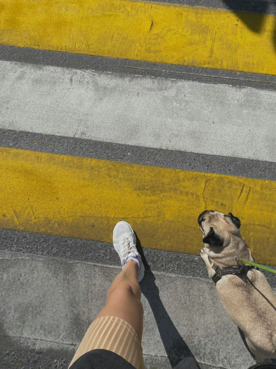 a person walking their dog down the sidewalk