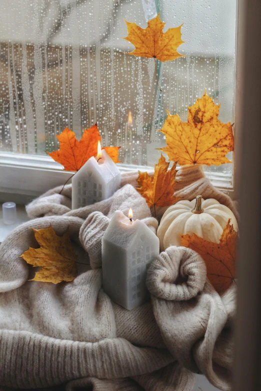 an assortment of fall leaves sitting on top of a window sill