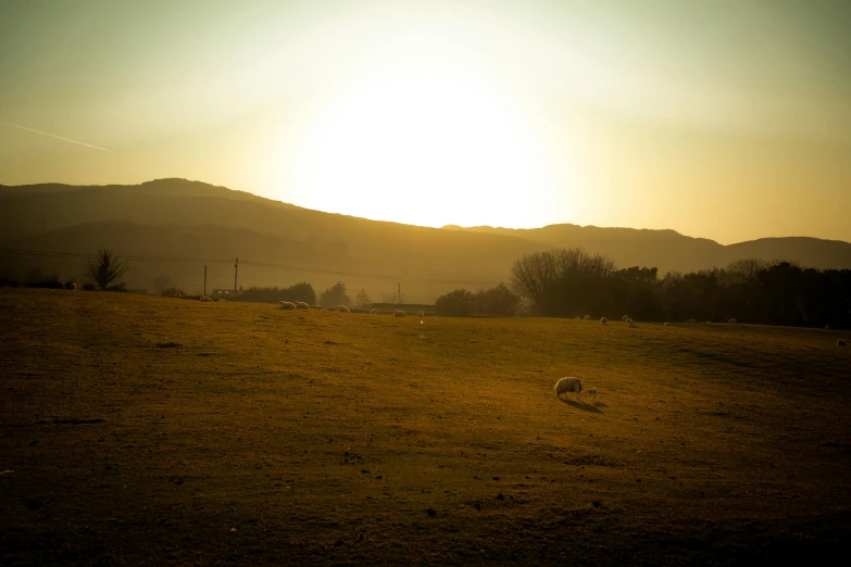 the sun is setting over a grassy hill