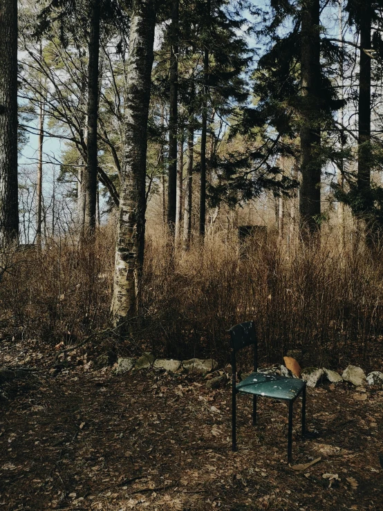 a small park bench sitting in the middle of a grassy field