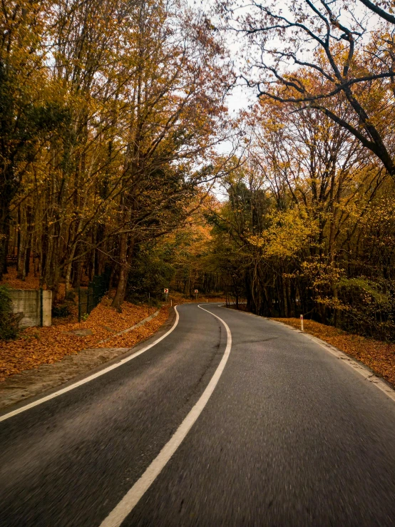 a curving road surrounded by trees in autumn