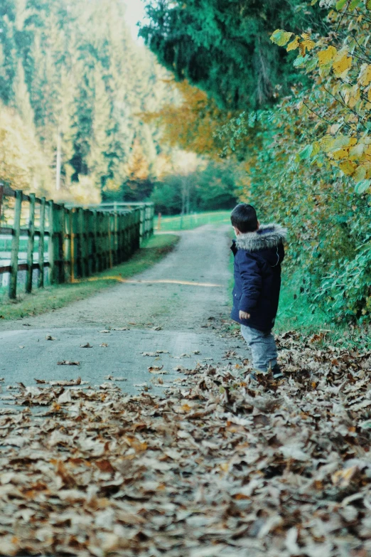 a person walking down a road in the fall