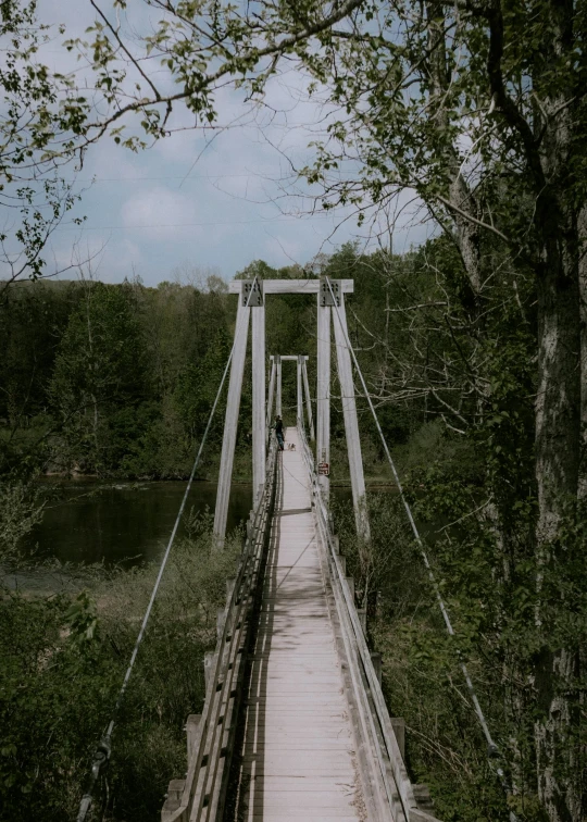 a bridge that is over some water next to some trees