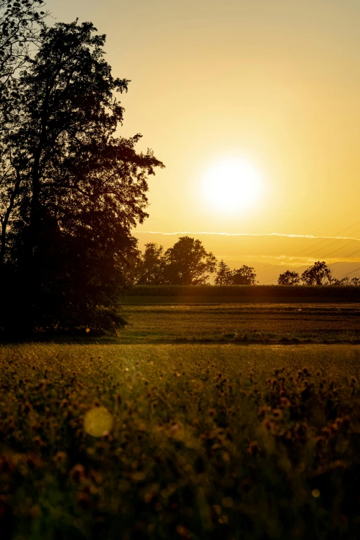 the sun is setting over some trees in a field