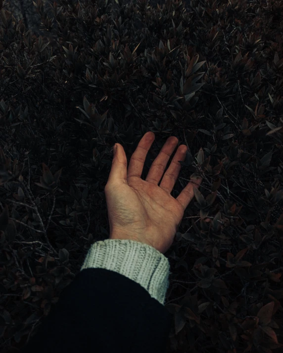 the hand is laying down in some grass