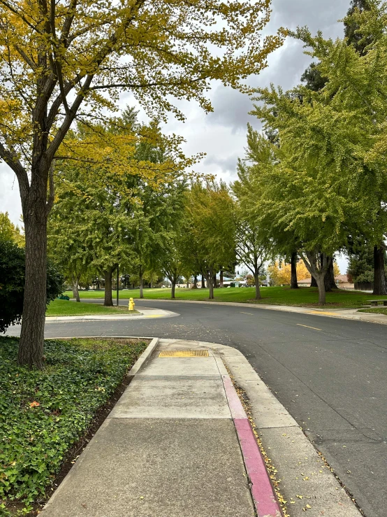 an empty street that is not very quiet