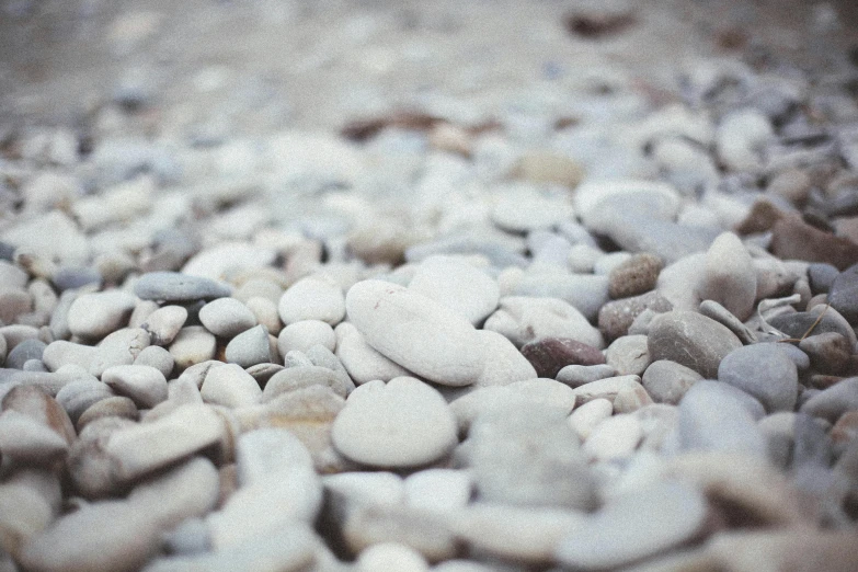 rock and grass laying on the ground