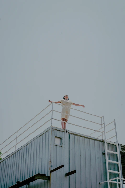 a person stands on a ladder as he holds his arms out