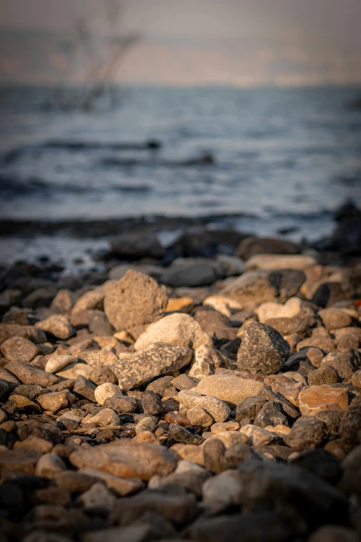 a close up view of some rocks on the water