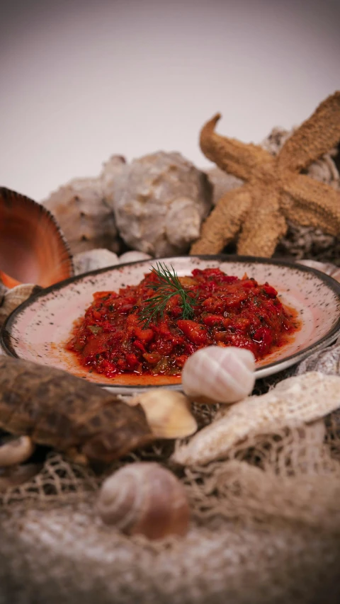 a plate of food sitting on some seashells