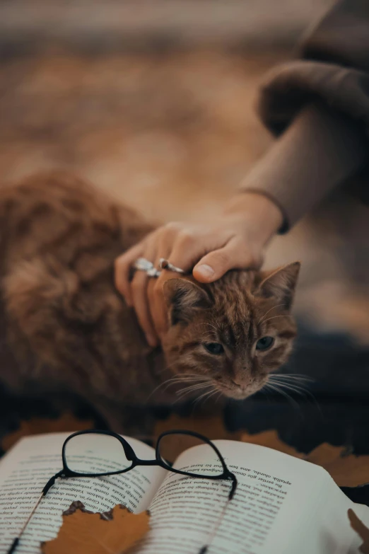 a woman touching a cat that's sitting on top of an open book