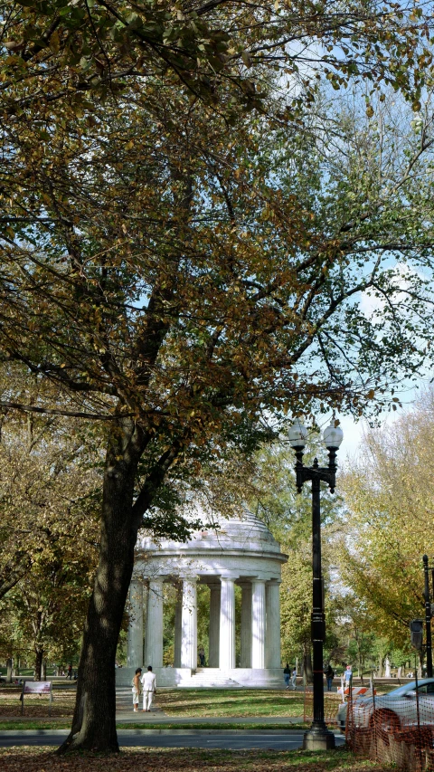 a tall tree sitting next to a white building