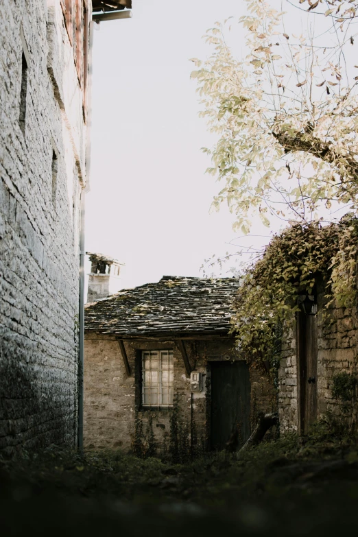 an old building sits next to an overgrown, leafy tree