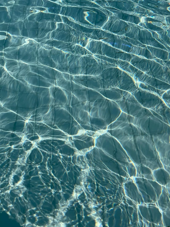 water under the surface is seen in this image