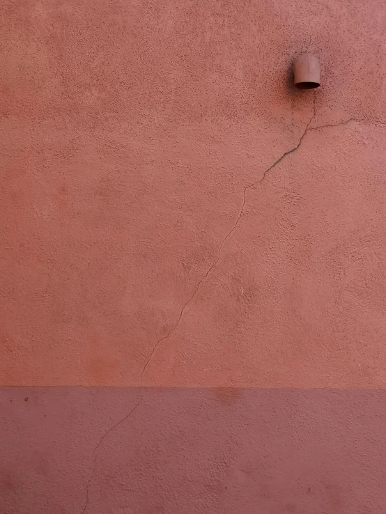 a lone bird on the outside of a building with a shadow