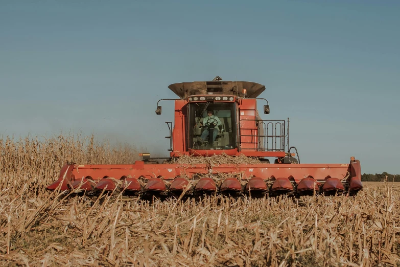 a red harvest combine in a wheat field