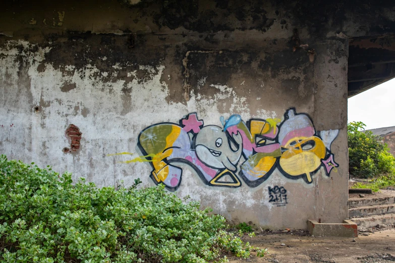 a wall with graffiti depicting a couple dolphins