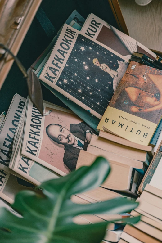 piles of books, including magazines and children's storybooks, sit next to a houseplant