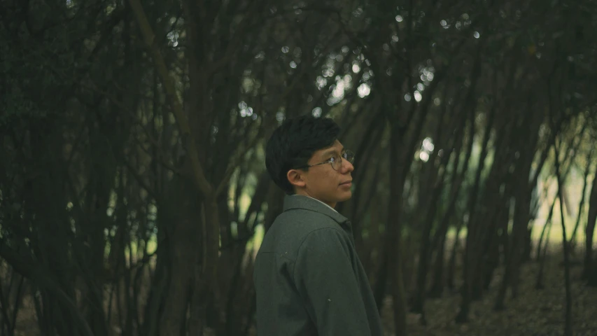 a man looks up in front of a row of trees