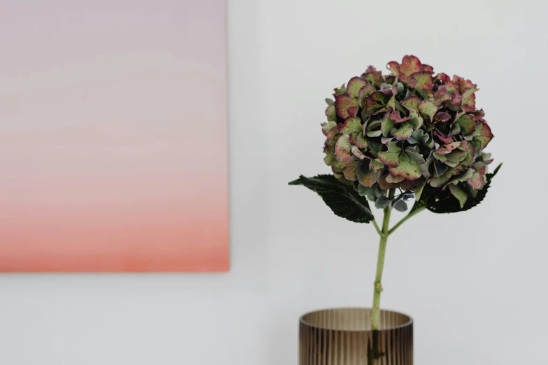 an arrangement of greenery in a vase