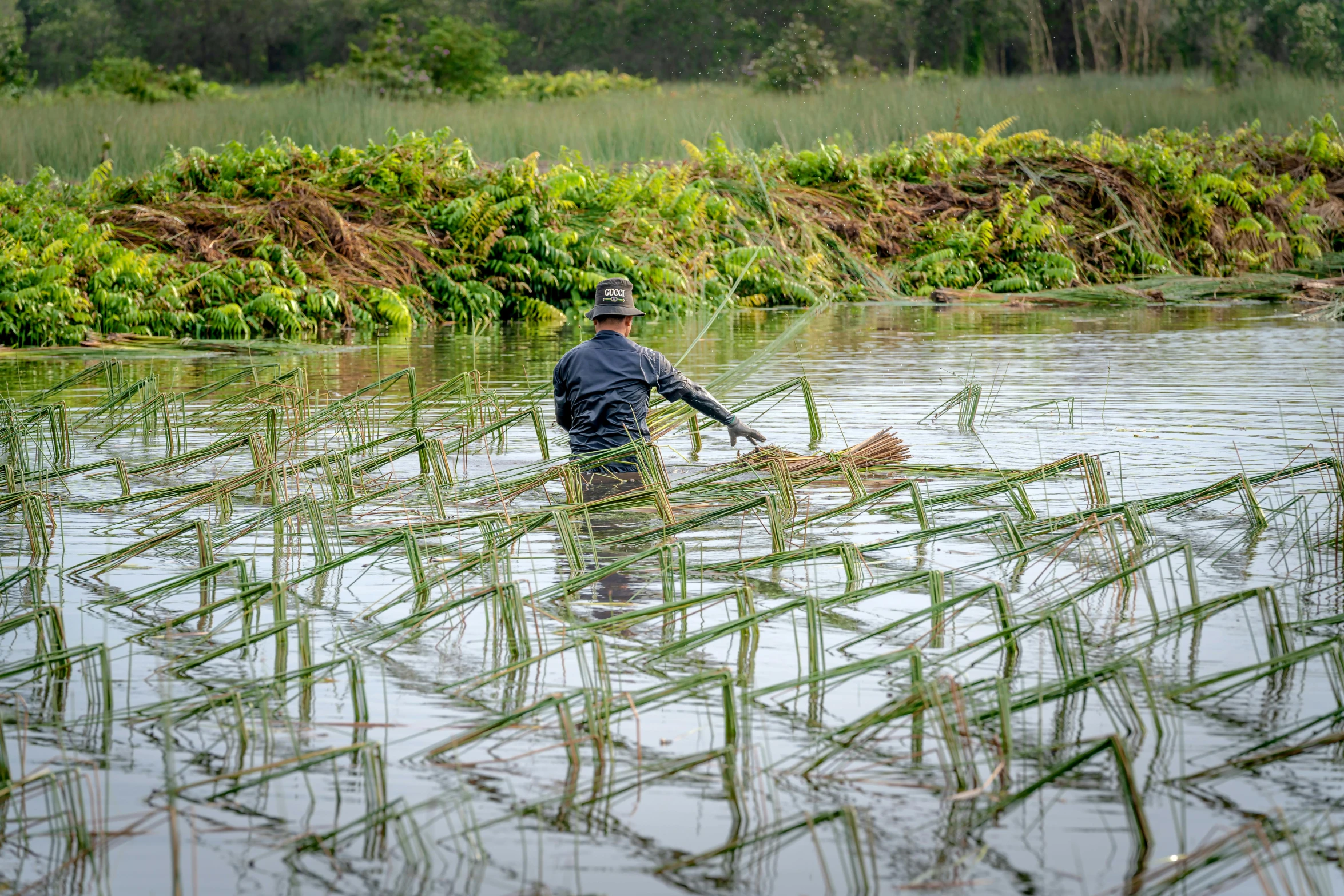 the man is wading through shallow water with his dog