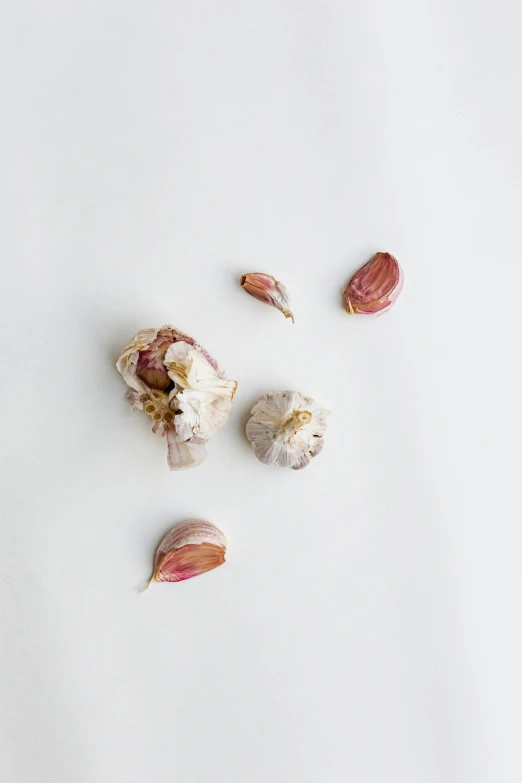 various pieces of garlic are scattered on a white surface