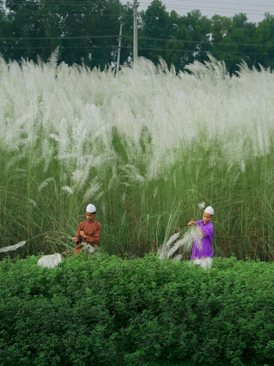 two people are sitting in tall grasses on the edge of a field