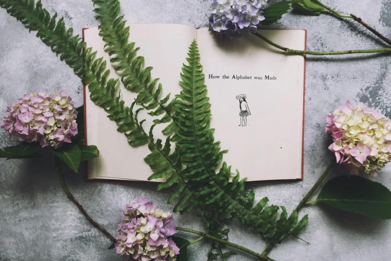 a close up of an open book with flowers near by