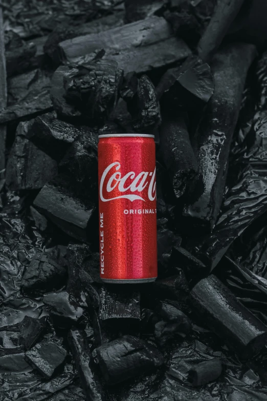 a red can of coke sits on charcoal