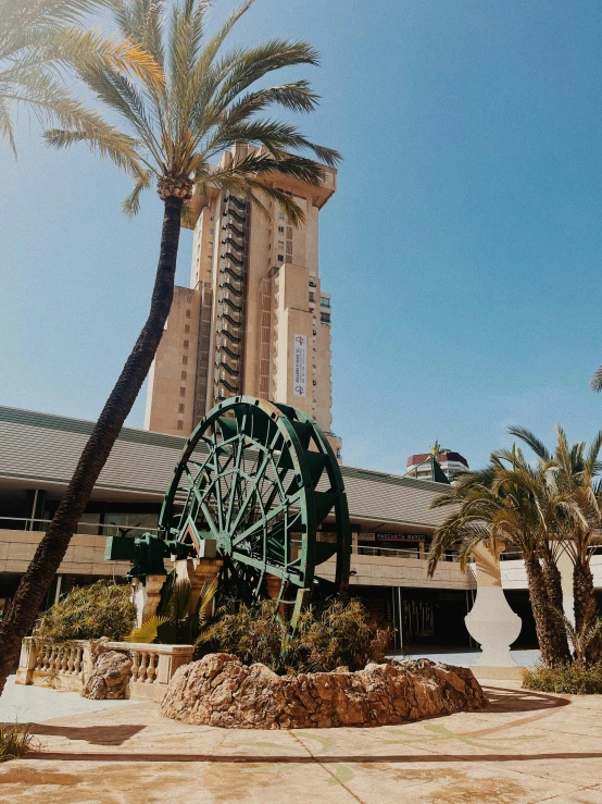 the palm trees are near a ferris wheel