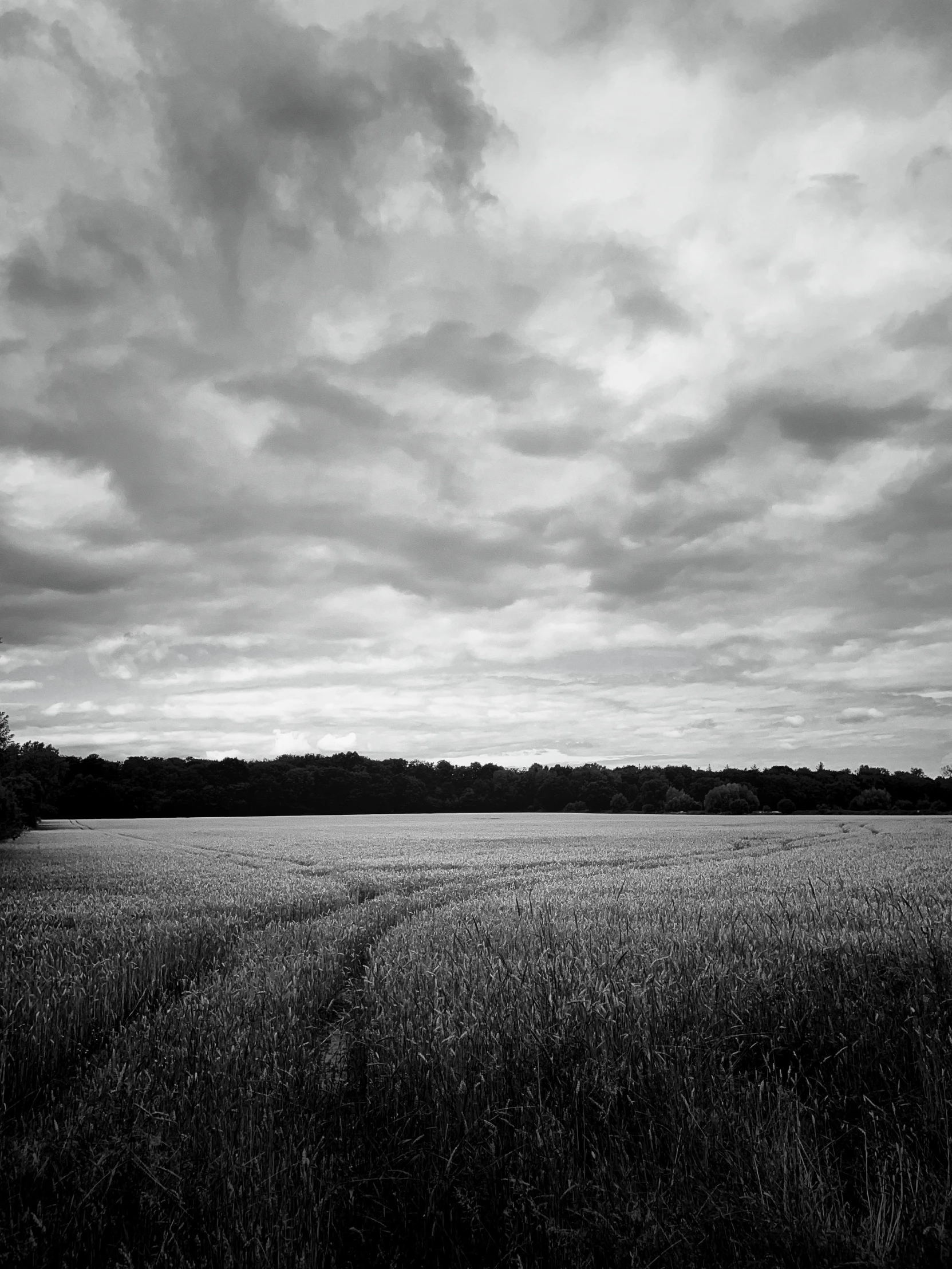 a black and white po of an empty field