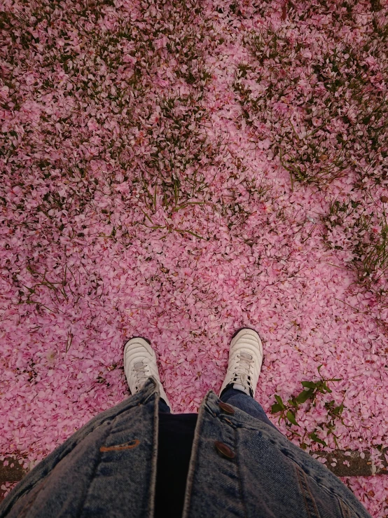 a person in white sneakers standing on pink ground