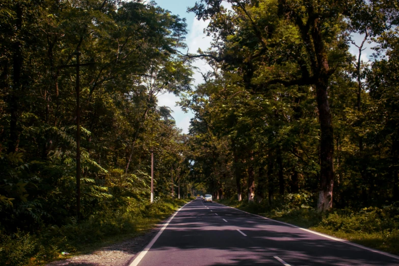 a view down the road, and through trees