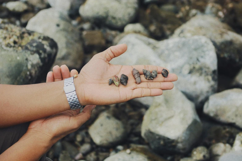 there is a handful of tiny rocks and pebbles in a person's palm