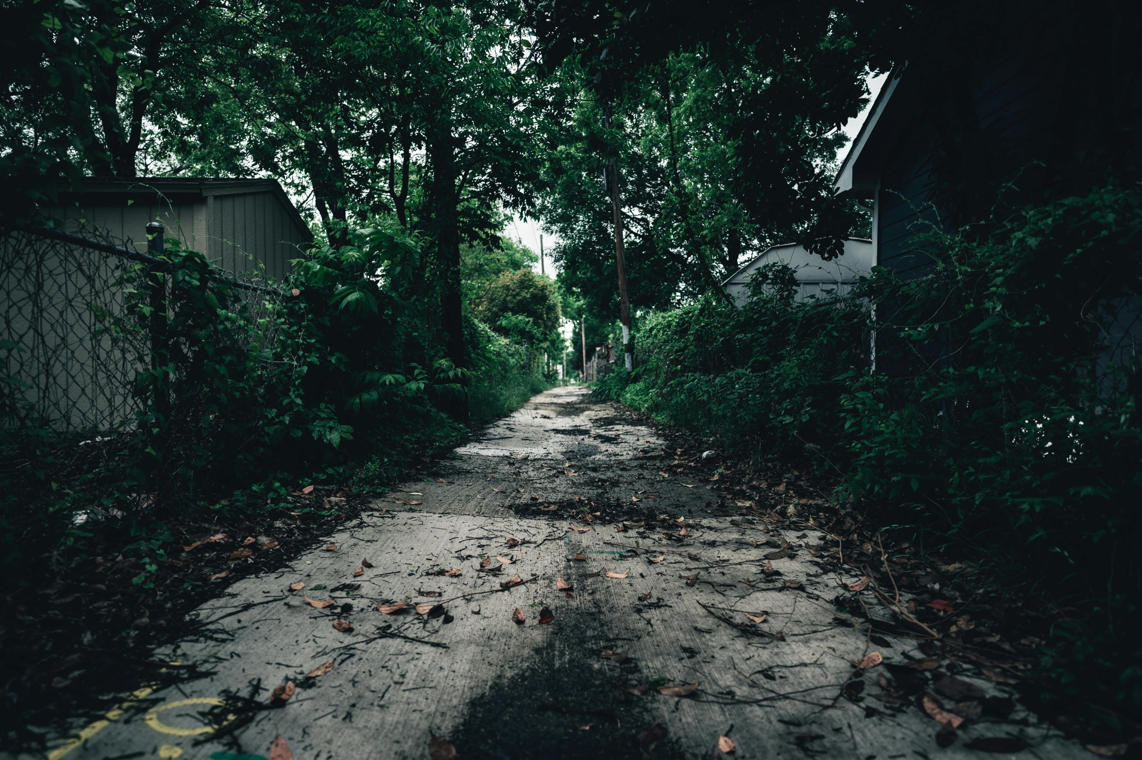 the sidewalk in front of some trees is littered with leaves