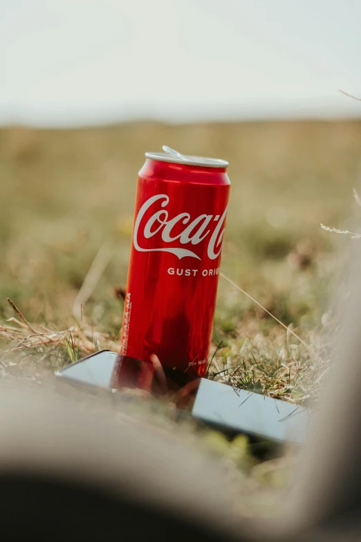 coca cola can on the ground in a field