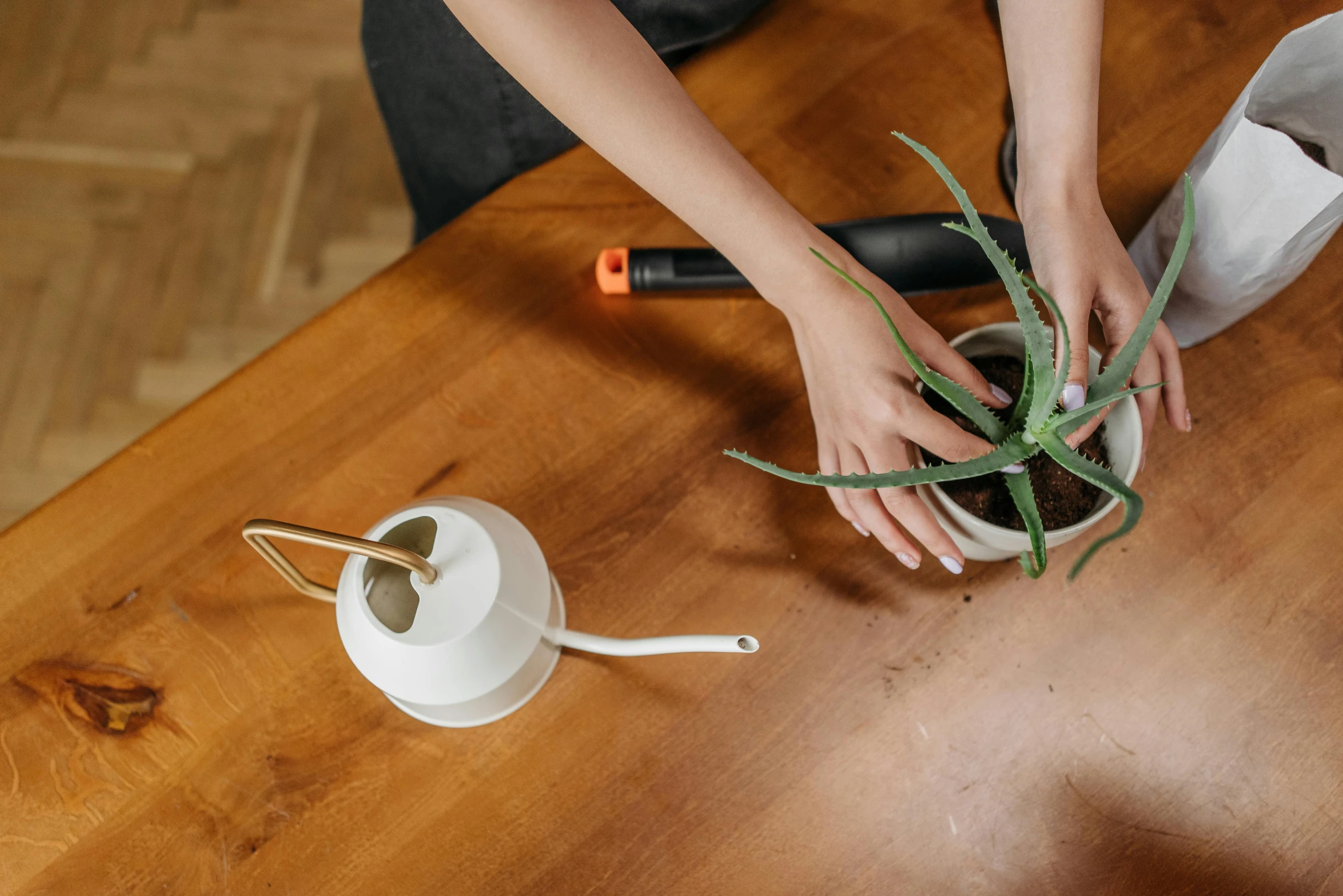 a person holding an air plant over a wooden table