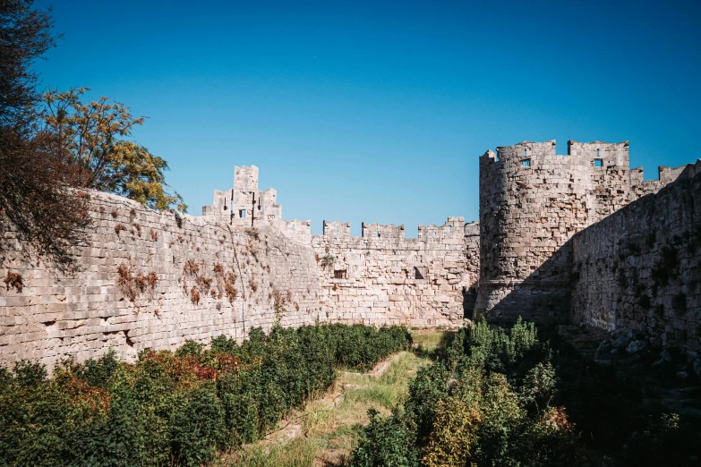 the old wall and trees are surrounded by grass