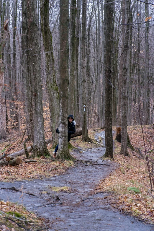 two people are walking through a forest in the rain