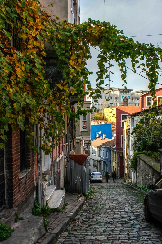 an alley way with stone pavement between buildings