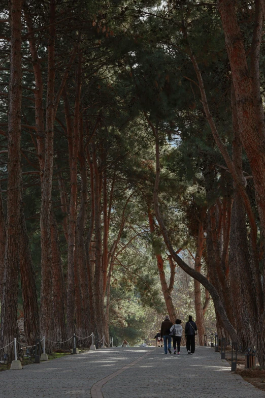 many people are walking in a line on the dirt road